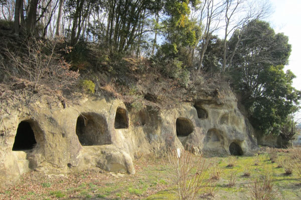 大代横穴墓群のサムネイル